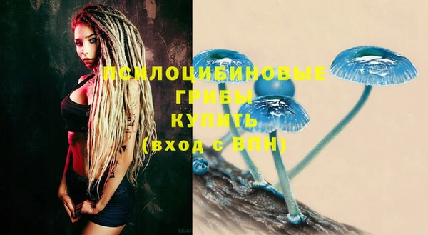 винт Богданович